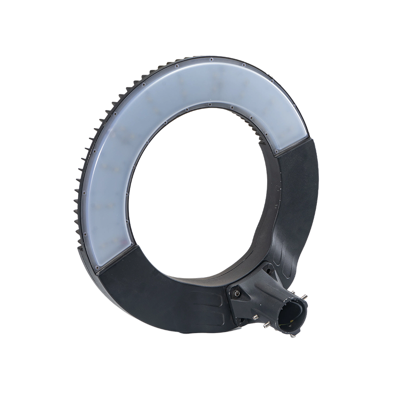 Artistic Ring-Shaped Garden Landscape Light
