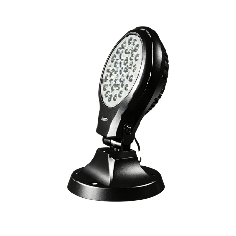 Dynamic Omni-Directional Landscape LED Floodlight