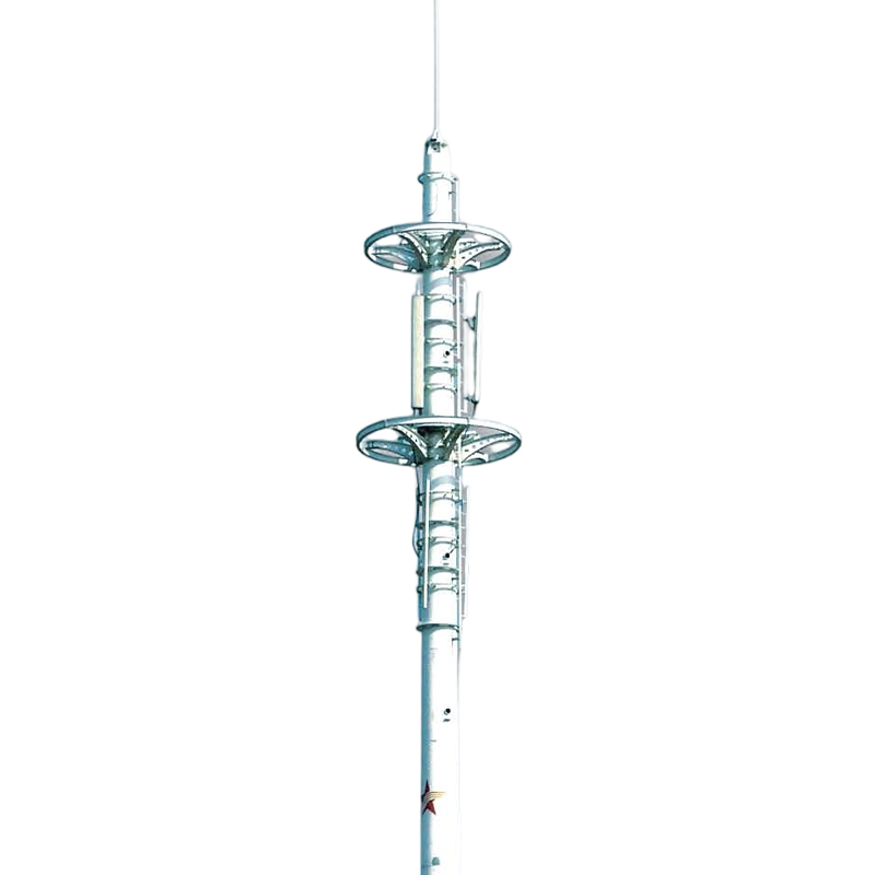 Double-Rudder Style Landscape Ground-Mounted Communication Tower