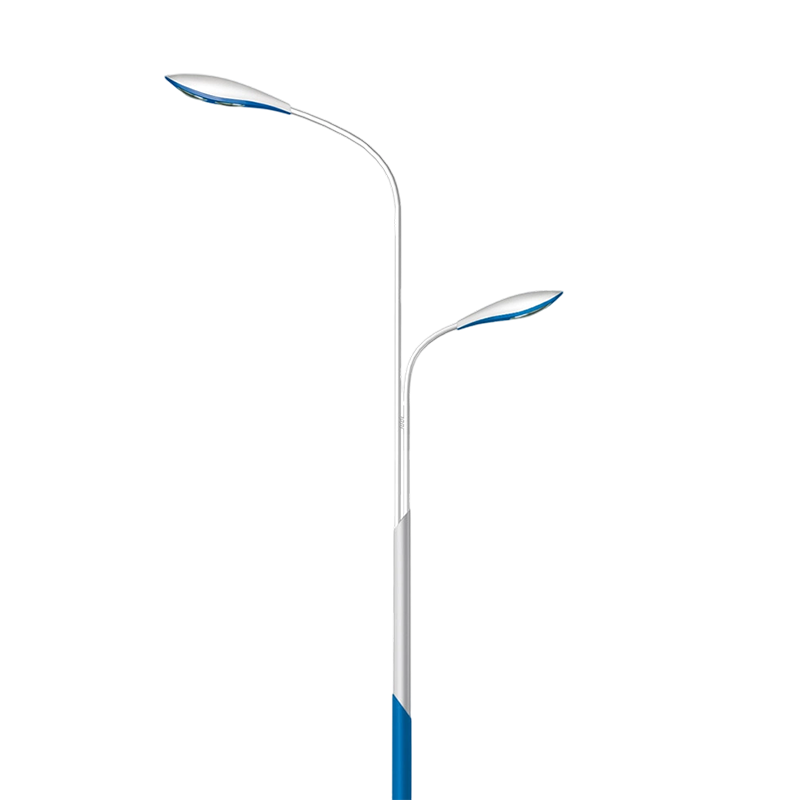 Energy-Efficient Double-Arm Landscape & Arterial Road Light