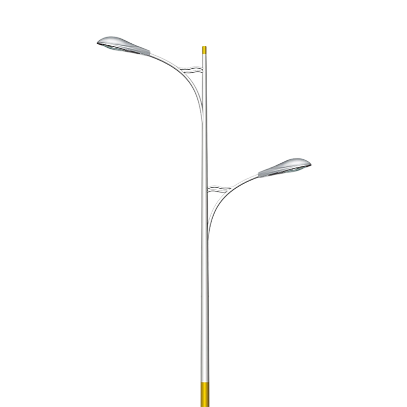 High-Performance Municipal and Landscape Double-Arm LED Street Light