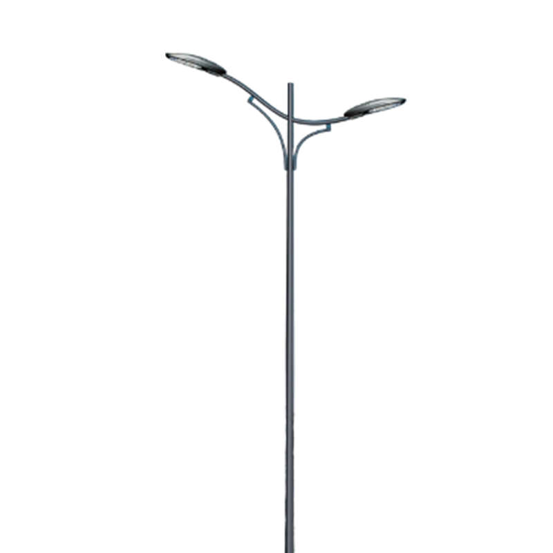 Modern Minimalist Streamlined Dual-Arm LED Street Light